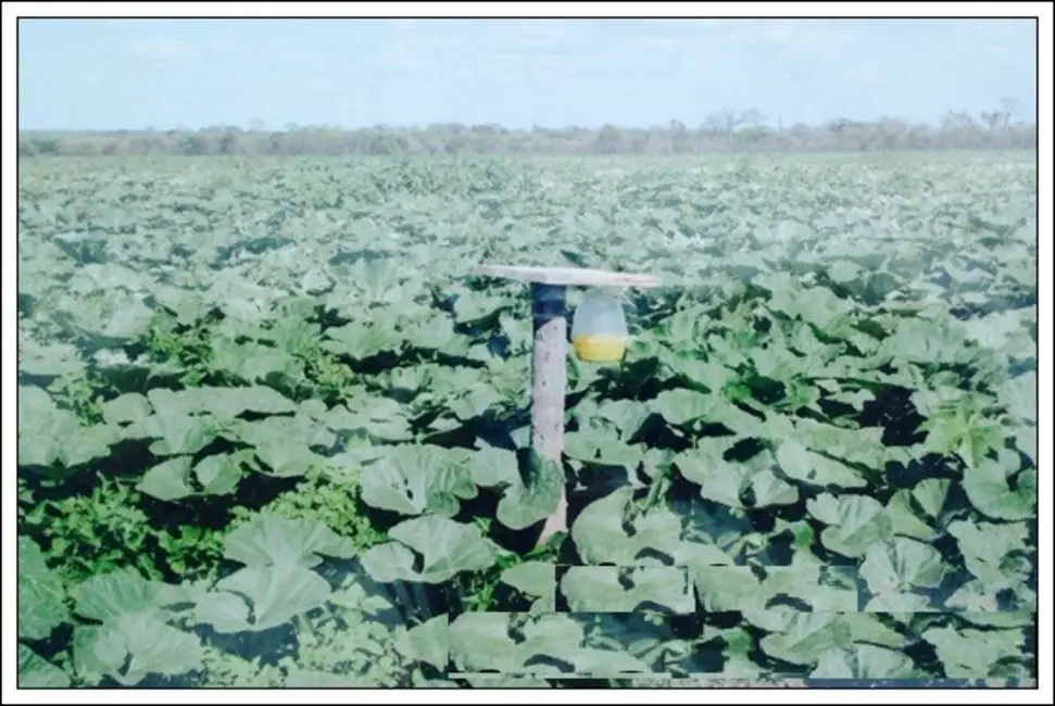 Foto 3 de Fazenda / Haras com 7 quartos à venda, 8100m2 em Manga - MG