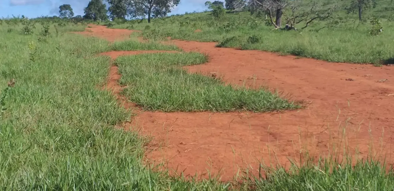 Foto 9 de Fazenda / Haras com 1 quarto à venda, 1374m2 em Centro, Barra Do Garcas - MT