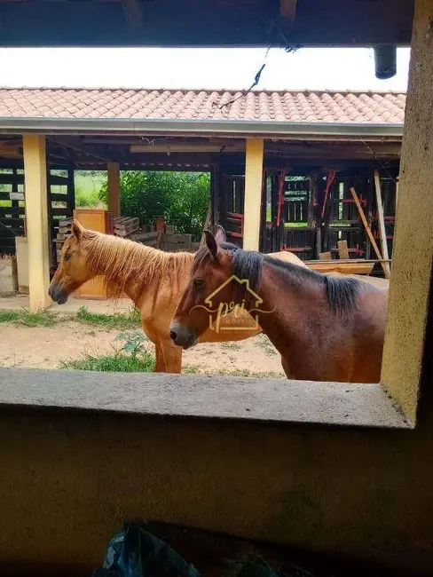 Foto 7 de Fazenda / Haras com 5 quartos à venda, 1645600m2 em Centro, Campinas - SP