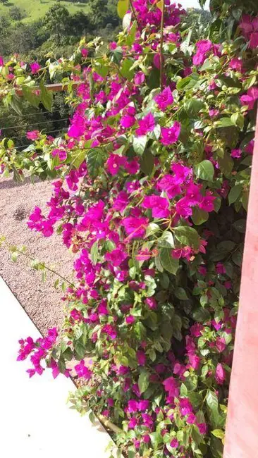 Foto 7 de Fazenda / Haras com 5 quartos à venda, 66000m2 em Jaguariuna - SP