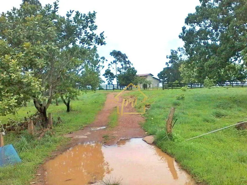 Fazenda / Haras com 3 quartos à venda, 3740000m2 em Setor Central, Gurupi - TO - imagem 8 Foto 8 de Fazenda / Haras com 3 quartos à venda, 3740000m2 em Setor Central, Gurupi - TO