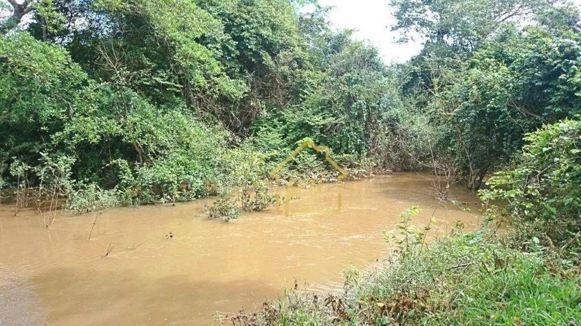 Fazenda / Haras com 3 quartos à venda, 3740000m2 em Setor Central, Gurupi - TO - imagem 9 Foto 9 de Fazenda / Haras com 3 quartos à venda, 3740000m2 em Setor Central, Gurupi - TO
