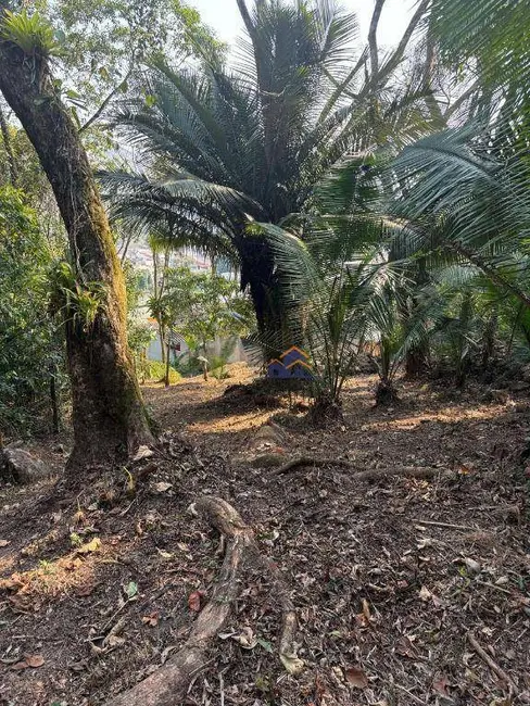 Foto 6 de Terreno / Lote à venda, 420m2 em Pontal (Cunhambebe), Angra Dos Reis - RJ