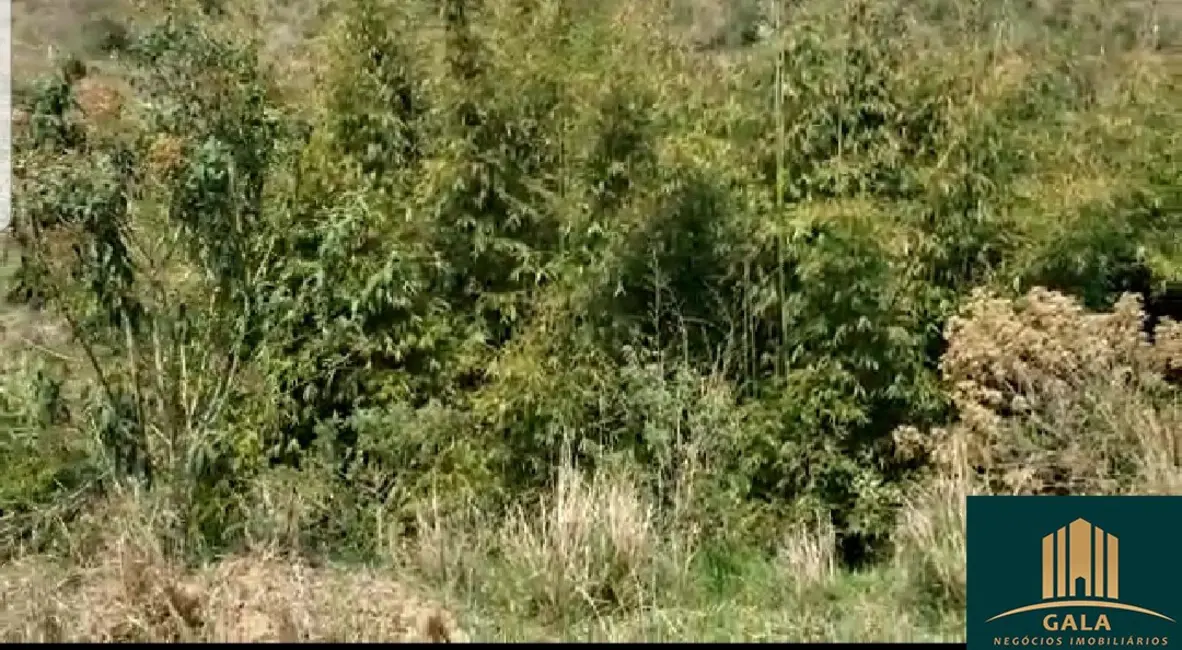 Terreno / Lote à venda, 313m2 em Colônia Santo Antônio, Barra Mansa - RJ - imagem 5 Foto 5 de Terreno / Lote à venda, 313m2 em Colônia Santo Antônio, Barra Mansa - RJ