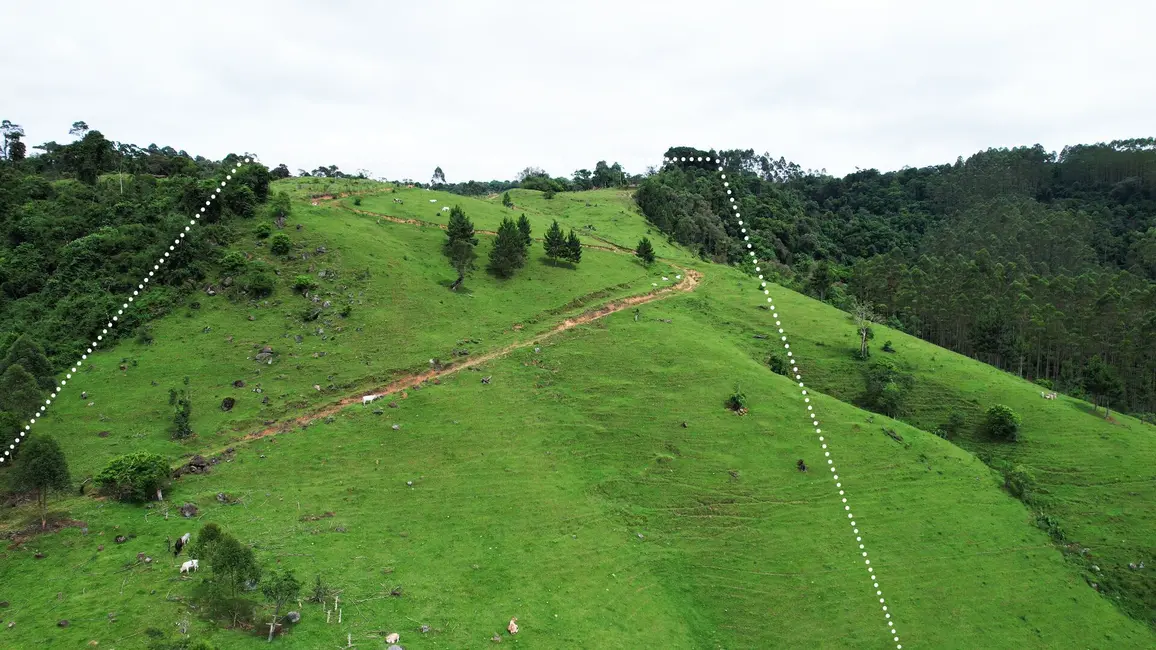 Foto 5 de Terreno / Lote à venda, 110000m2 em Vitor Meireles - SC