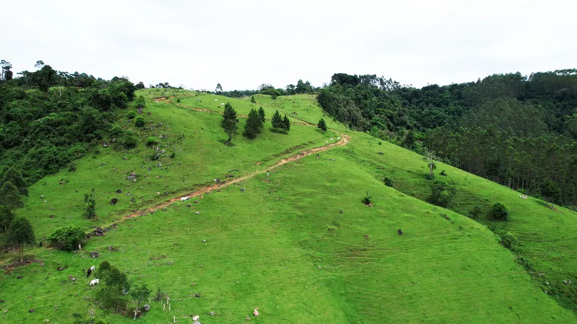 Foto 6 de Terreno / Lote à venda, 110000m2 em Vitor Meireles - SC