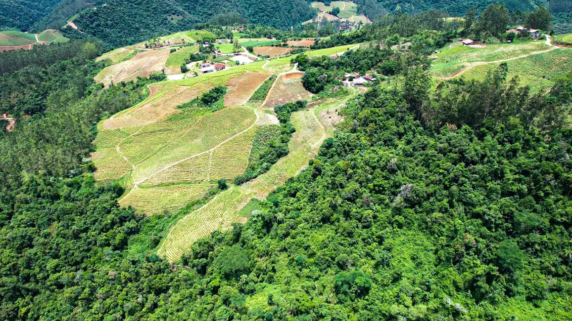 Foto 6 de Terreno / Lote à venda, 90000m2 em Presidente Nereu - SC