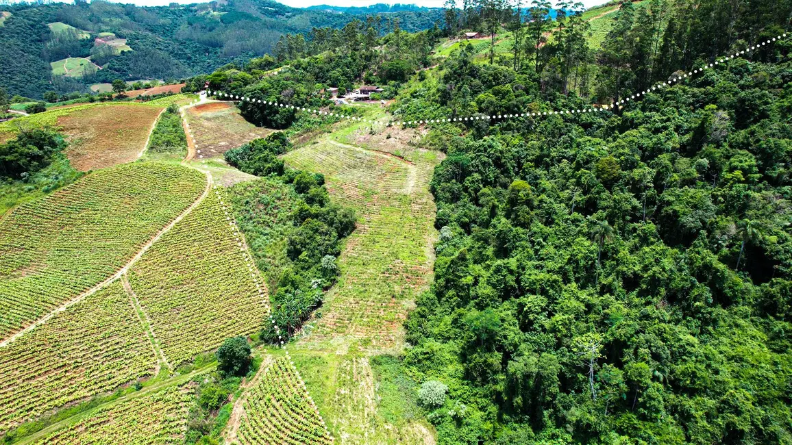 Foto 7 de Terreno / Lote à venda, 90000m2 em Presidente Nereu - SC