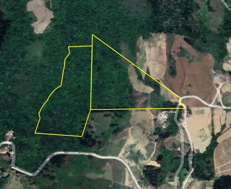 Foto 3 de Terreno / Lote à venda, 90000m2 em Presidente Nereu - SC