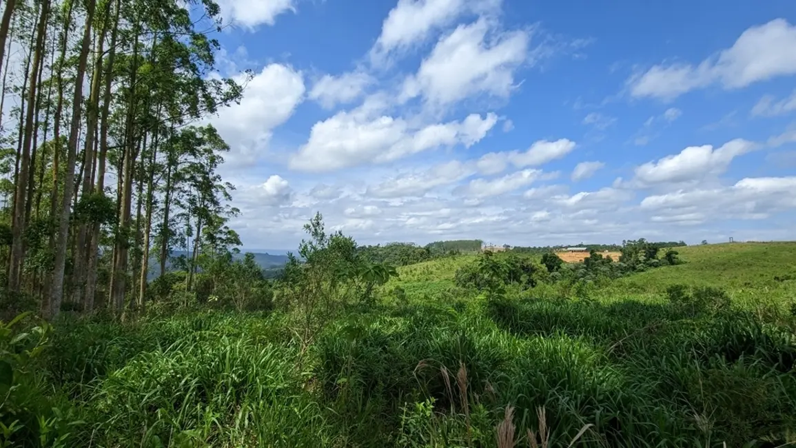 Foto 5 de Terreno / Lote à venda, 137000m2 em Vitor Meireles - SC