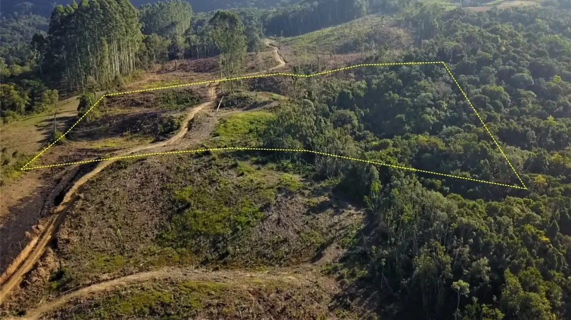 Foto 7 de Terreno / Lote à venda, 30000m2 em Aurora - SC