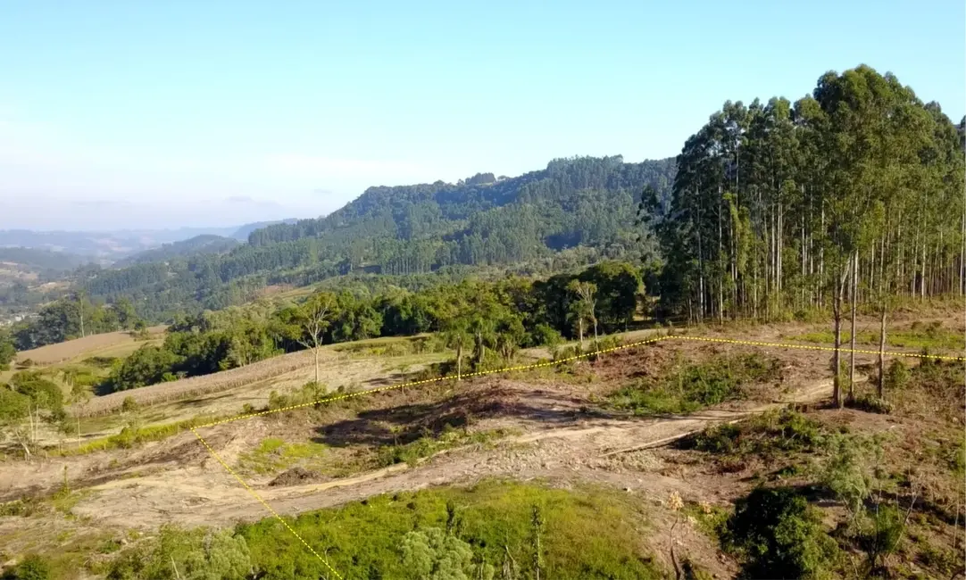 Foto 6 de Terreno / Lote à venda, 30000m2 em Aurora - SC