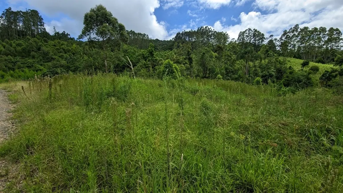 Foto 9 de Fazenda / Haras com 3 quartos à venda, 30000m2 em Presidente Nereu - SC
