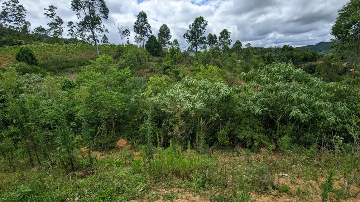 Foto 7 de Fazenda / Haras com 3 quartos à venda, 30000m2 em Presidente Nereu - SC
