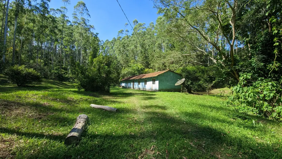 Foto 4 de Fazenda / Haras à venda, 90000m2 em Rio Do Oeste - SC