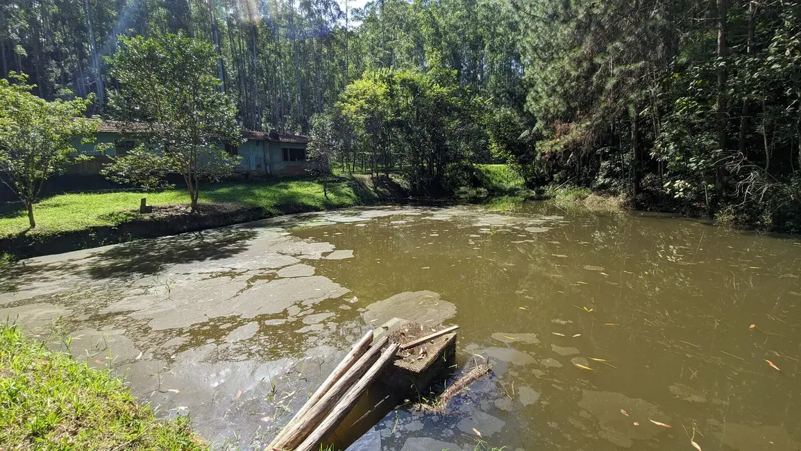 Foto 6 de Fazenda / Haras à venda, 90000m2 em Rio Do Oeste - SC