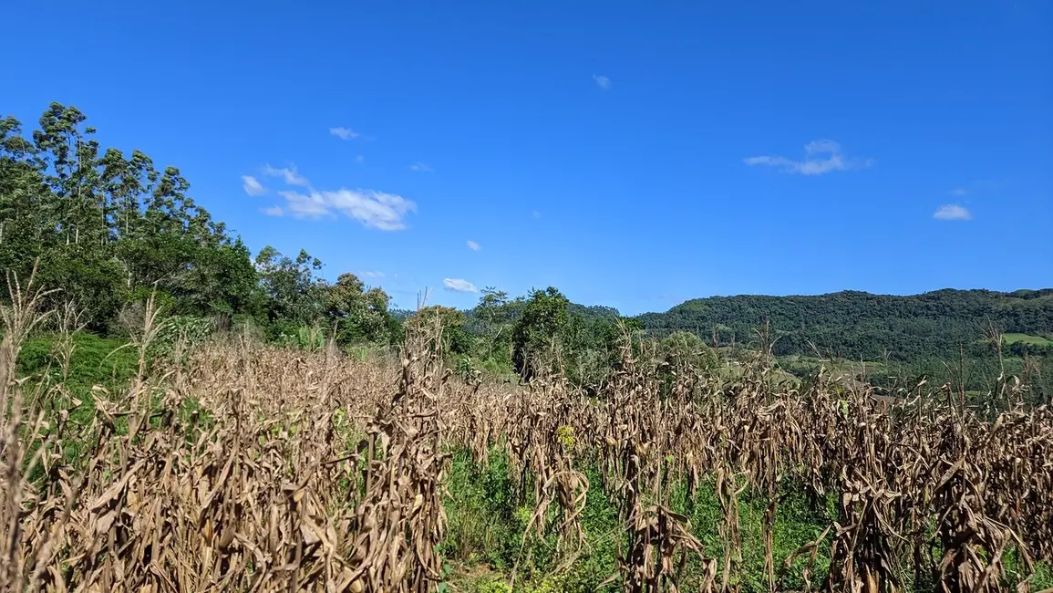 Foto 7 de Terreno / Lote à venda, 50000m2 em Presidente Nereu - SC