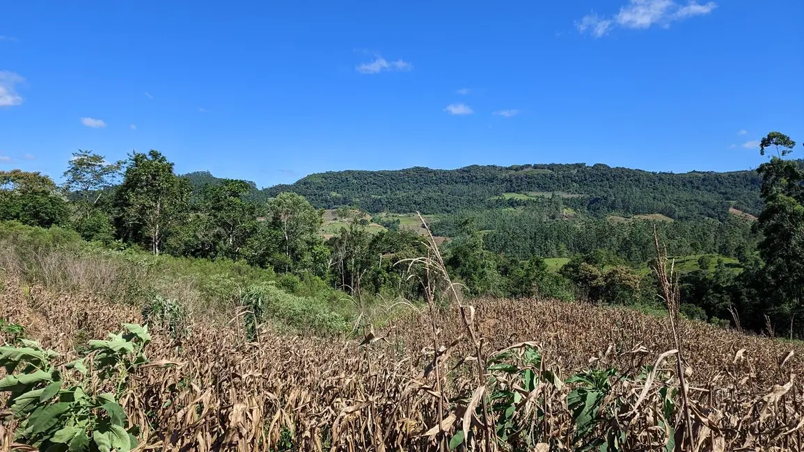 Foto 8 de Terreno / Lote à venda, 50000m2 em Presidente Nereu - SC