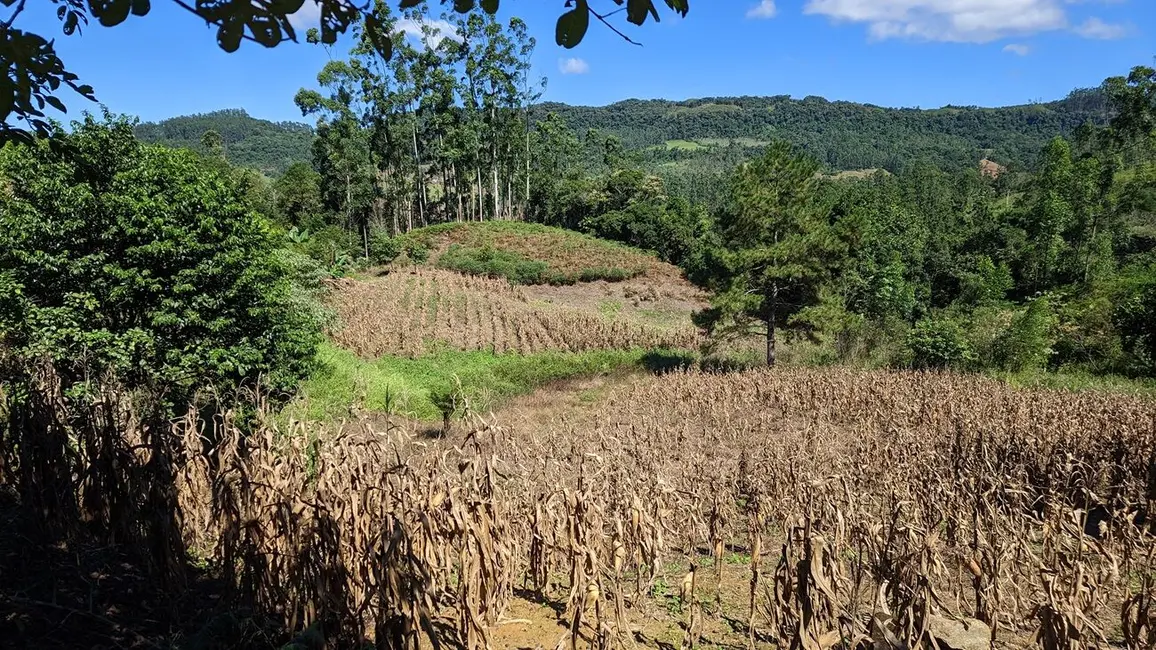 Foto 2 de Terreno / Lote à venda, 50000m2 em Presidente Nereu - SC
