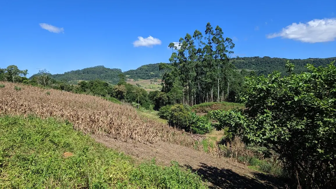 Foto 5 de Terreno / Lote à venda, 50000m2 em Presidente Nereu - SC