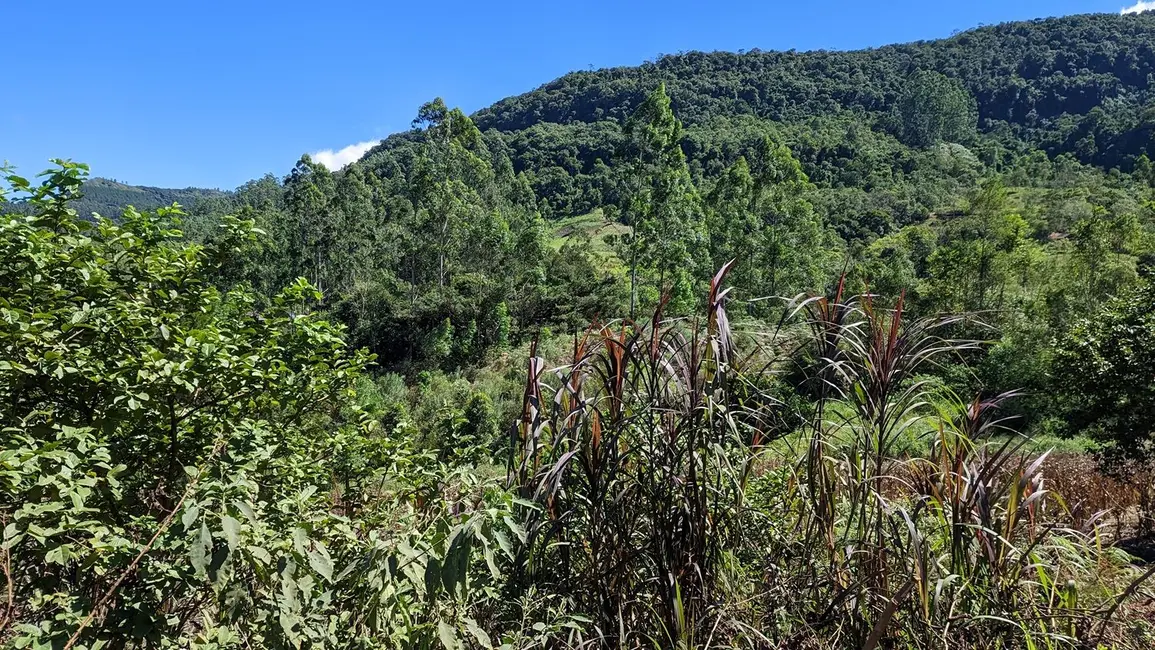 Foto 4 de Terreno / Lote à venda, 50000m2 em Presidente Nereu - SC