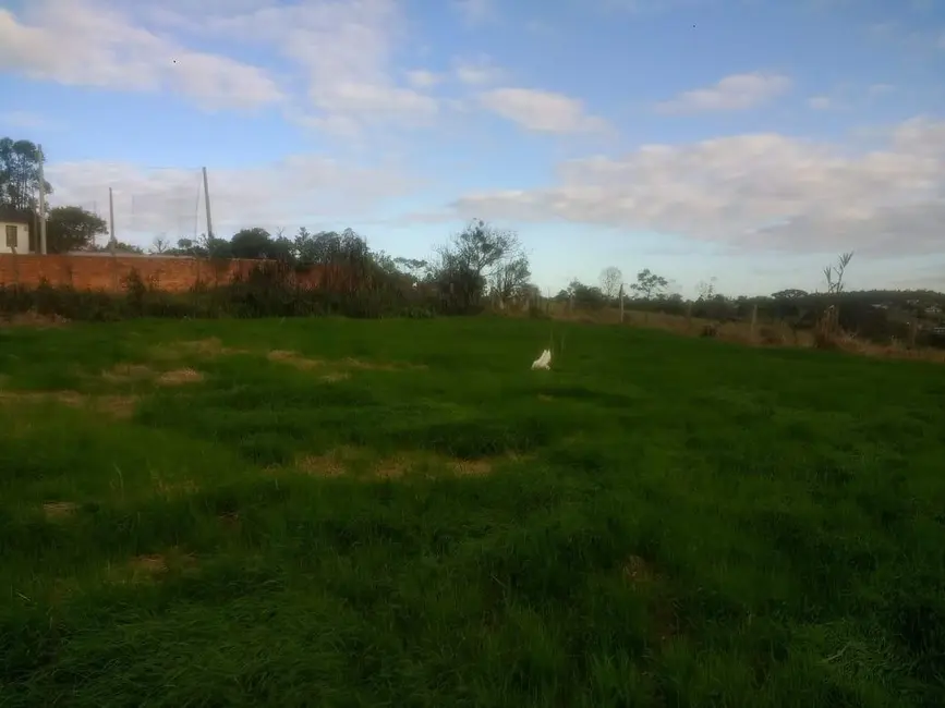 Foto 8 de Terreno / Lote à venda, 2750m2 em Icara - SC