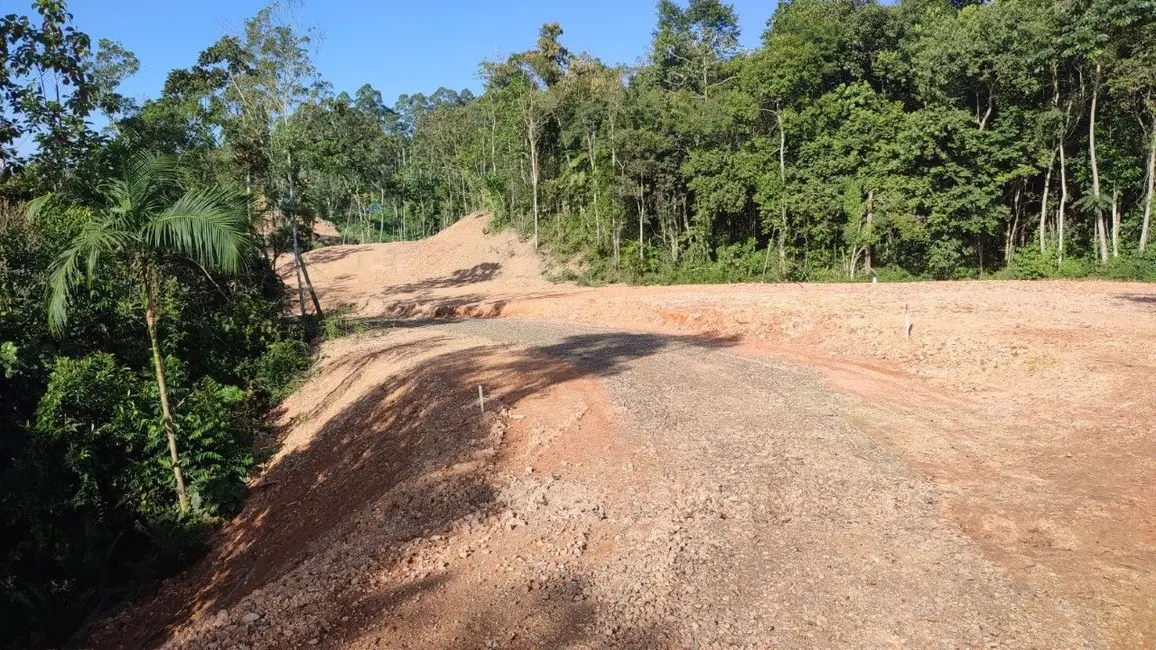 Terreno / Lote à venda, 1200m2 em Nova Veneza - SC - imagem 5 Foto 5 de Terreno / Lote à venda, 1200m2 em Nova Veneza - SC