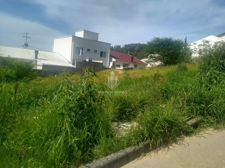 Foto 3 de Terreno / Lote à venda, 200m2 em Bela Vista, Palhoca - SC