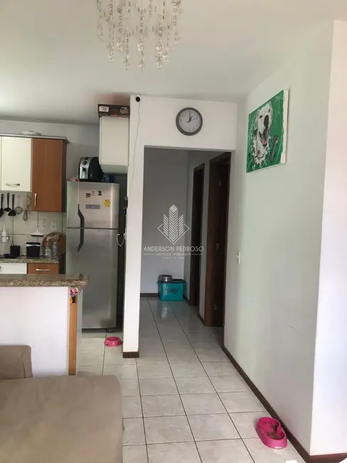 Foto 6 de Casa com 2 quartos à venda, 70m2 em Madri, Palhoca - SC