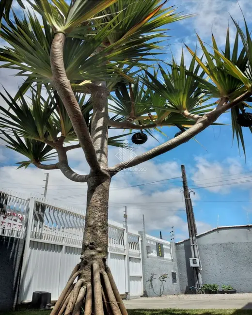 Casa com 3 quartos à venda, 160m2 em Praia João Rosa, Biguacu - SC - imagem 3 Foto 3 de Casa com 3 quartos à venda, 160m2 em Praia João Rosa, Biguacu - SC