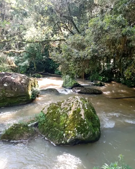 Foto 3 de Sítio / Rancho à venda, 11m2 em Alfredo Wagner - SC