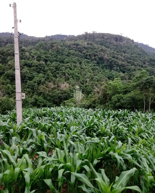 Foto 5 de Sítio / Rancho à venda, 11m2 em Alfredo Wagner - SC