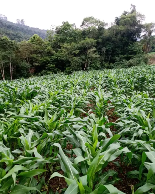 Foto 4 de Sítio / Rancho à venda, 11m2 em Alfredo Wagner - SC