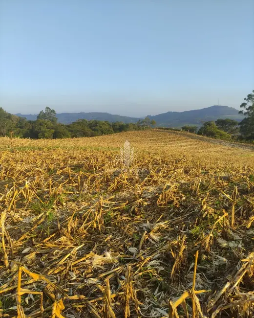 Foto 4 de Sítio / Rancho à venda, 58m2 em Centro, Alfredo Wagner - SC