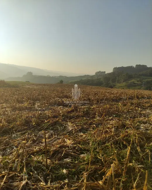 Foto 5 de Sítio / Rancho à venda, 58m2 em Centro, Alfredo Wagner - SC