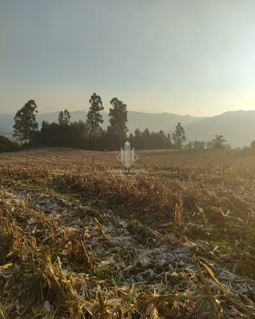 Foto 9 de Sítio / Rancho à venda, 58m2 em Centro, Alfredo Wagner - SC