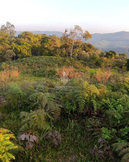 Foto 1 de Sítio / Rancho à venda, 58m2 em Centro, Alfredo Wagner - SC
