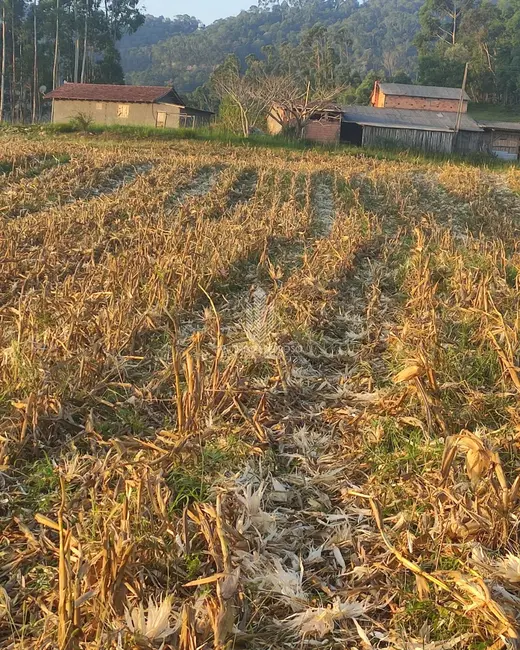 Foto 8 de Sítio / Rancho à venda, 58m2 em Centro, Alfredo Wagner - SC