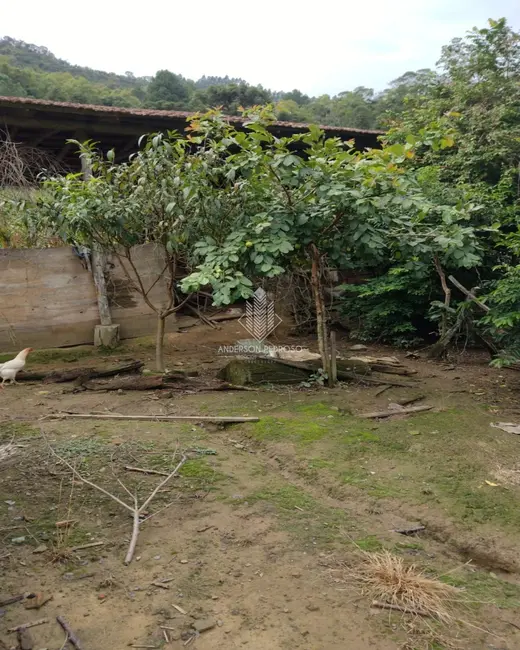 Foto 9 de Sítio / Rancho à venda, 58m2 em Centro, Alfredo Wagner - SC