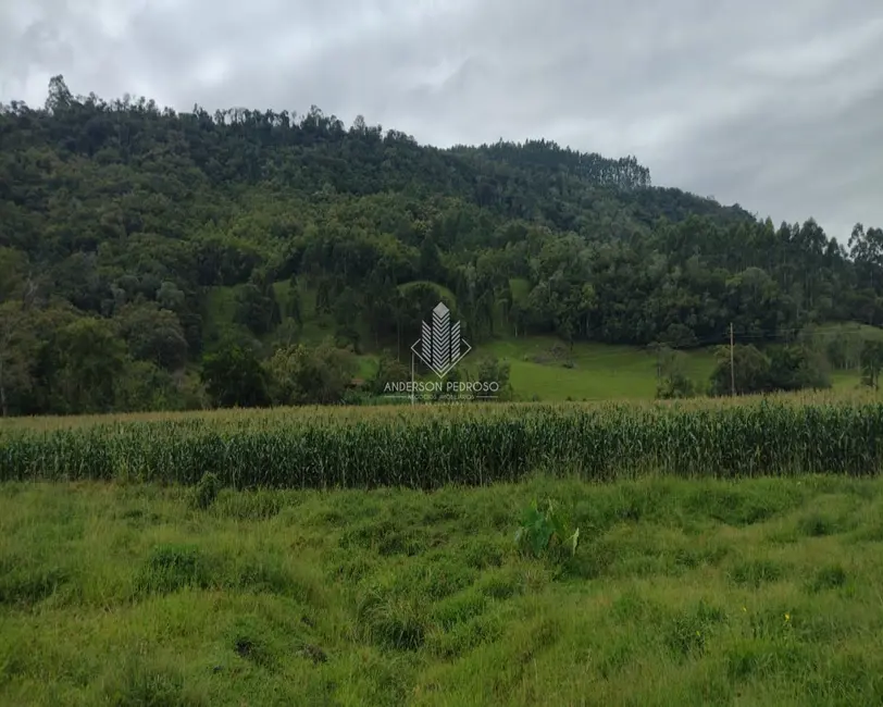 Foto 2 de Sítio / Rancho à venda, 58m2 em Centro, Alfredo Wagner - SC