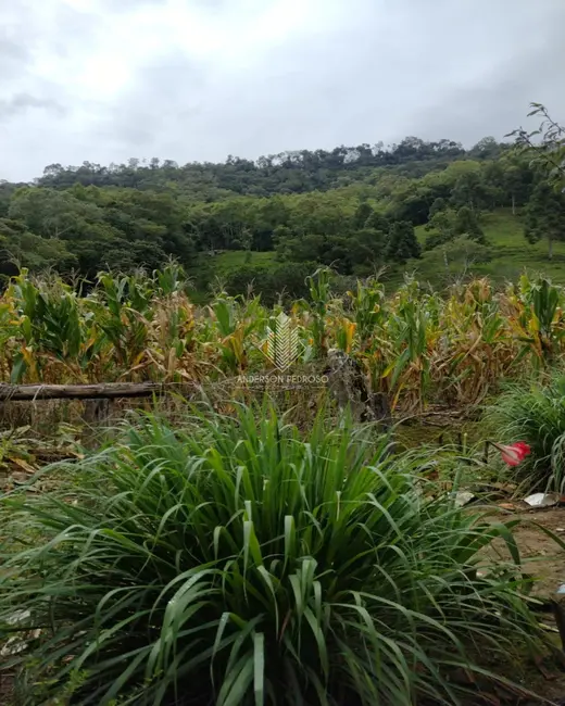 Foto 8 de Sítio / Rancho à venda, 58m2 em Centro, Alfredo Wagner - SC