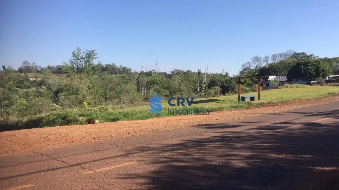 Terreno / Lote à venda, 8000m2 em Londrina - PR - imagem 5 Foto 5 de Terreno / Lote à venda, 8000m2 em Londrina - PR