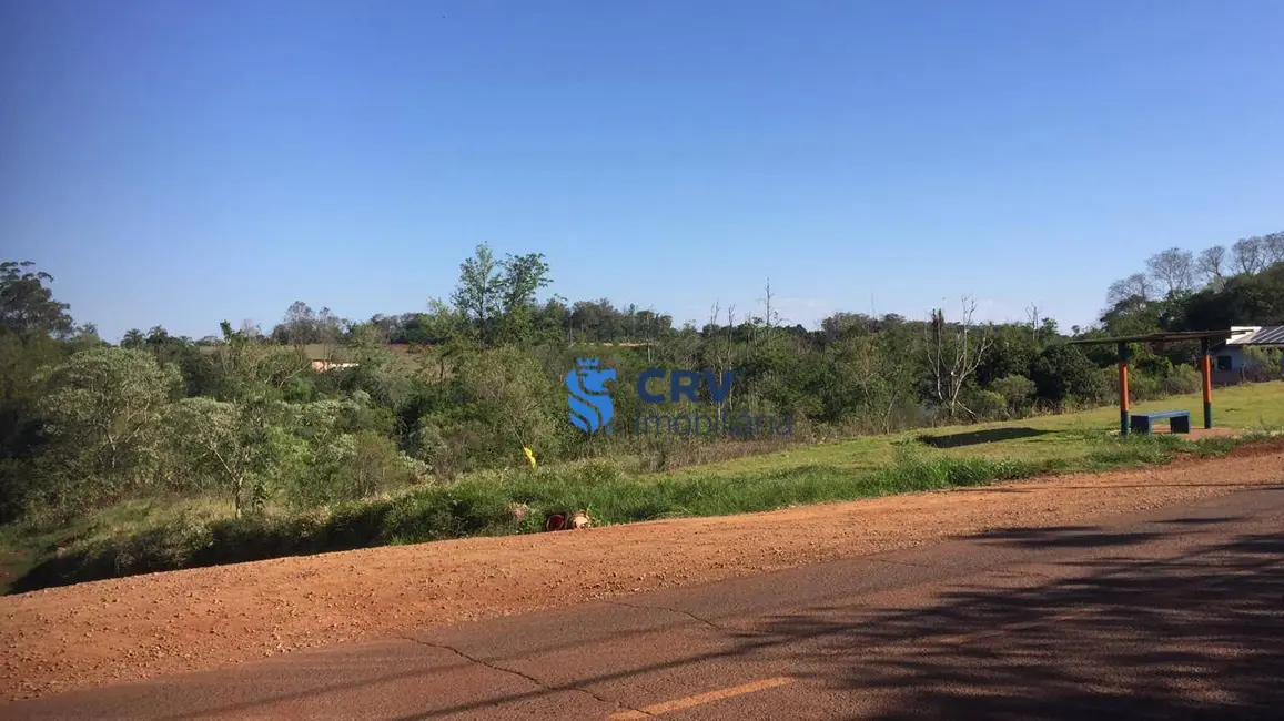 Terreno / Lote à venda, 8000m2 em Londrina - PR - imagem 3 Foto 3 de Terreno / Lote à venda, 8000m2 em Londrina - PR