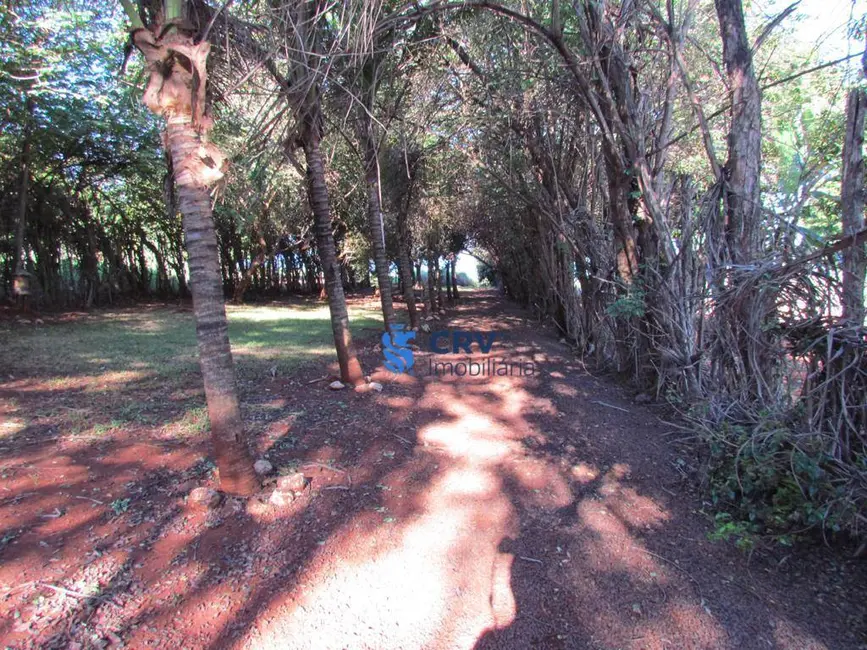 Chácara com 4 quartos à venda, 1426m2 em Alvorada Do Sul - PR - imagem 3 Foto 3 de Chácara com 4 quartos à venda, 1426m2 em Alvorada Do Sul - PR