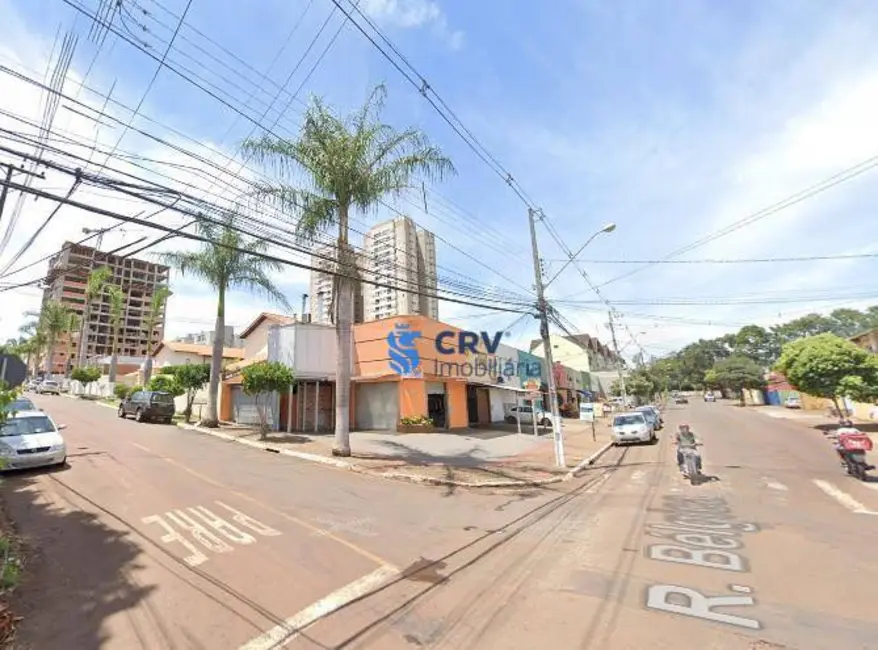 Loja à venda, 450m2 em Igapó, Londrina - PR - imagem 3 Foto 3 de Loja à venda, 450m2 em Igapó, Londrina - PR