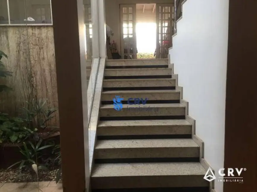 Sobrado com 4 quartos à venda e para alugar, 550m2 em Vila Ipiranga, Londrina - PR - imagem 5 Foto 5 de Sobrado com 4 quartos à venda e para alugar, 550m2 em Vila Ipiranga, Londrina - PR