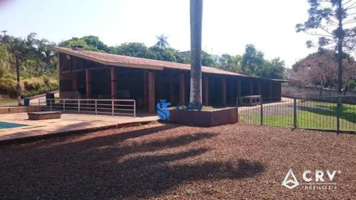 Chácara com 1 quarto à venda, 11000m2 em Chácaras Cambé Londrina, Cambe - PR - imagem 7 Foto 7 de Chácara com 1 quarto à venda, 11000m2 em Chácaras Cambé Londrina, Cambe - PR