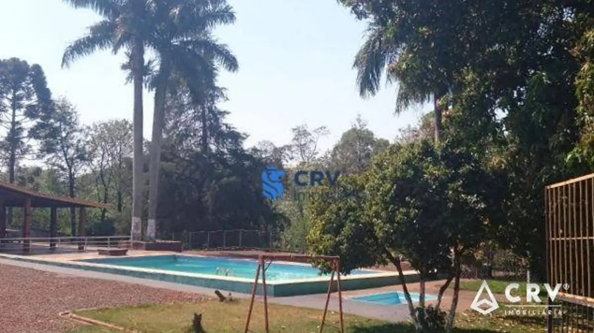 Chácara com 1 quarto à venda, 11000m2 em Chácaras Cambé Londrina, Cambe - PR - imagem 6 Foto 6 de Chácara com 1 quarto à venda, 11000m2 em Chácaras Cambé Londrina, Cambe - PR