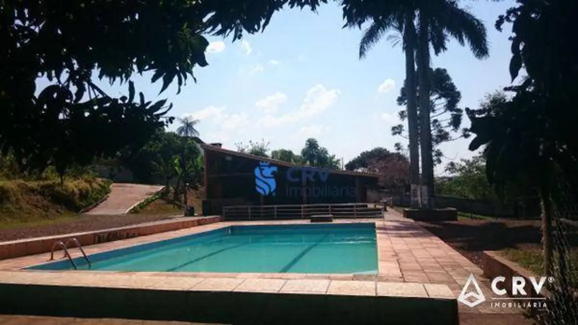 Chácara com 1 quarto à venda, 11000m2 em Chácaras Cambé Londrina, Cambe - PR - imagem 4 Foto 4 de Chácara com 1 quarto à venda, 11000m2 em Chácaras Cambé Londrina, Cambe - PR