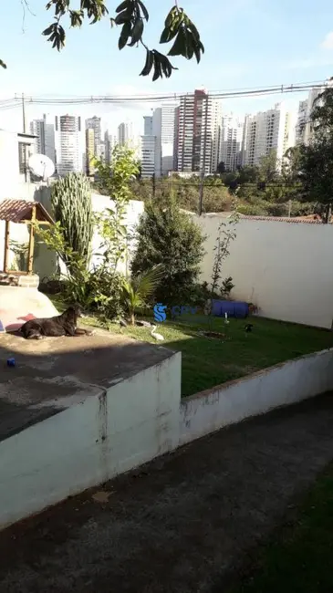 Foto 1 de Casa com 3 quartos à venda, 250m2 em Maringá, Londrina - PR